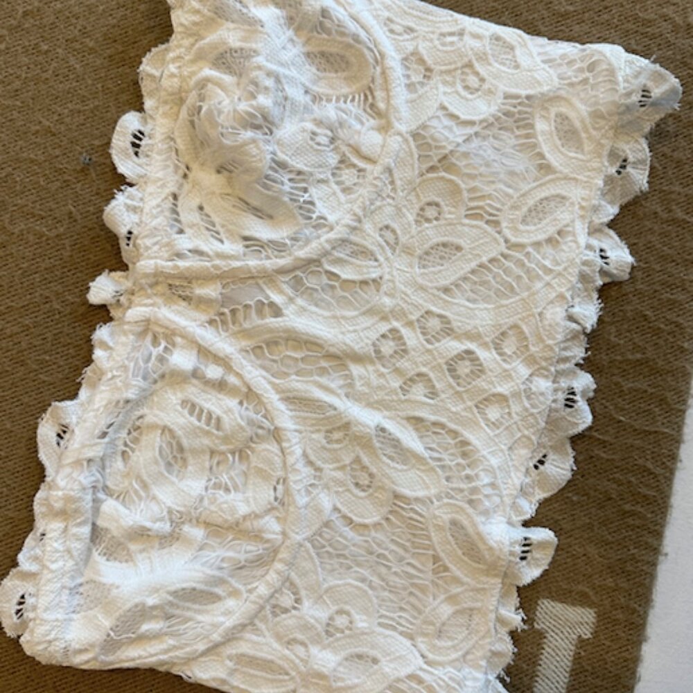 Free People Lace Tube Top (Brand New, Tags On)